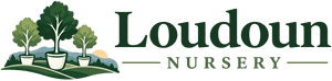 Loudoun Nursery | Purcellville VA